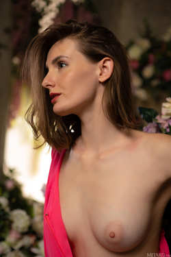 Image #239115 (titties): tits