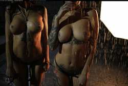 Image #164494 (titties): tits, wet