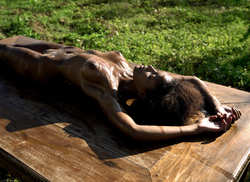 Image #286200 (titties): nude, oiled, tits