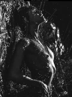 Image #164856 (titties): tits, wet
