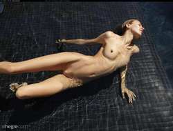 Image #185434 (titties): nude, tits, wet