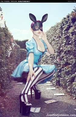 Image #27139 (fetish): bunny, latex