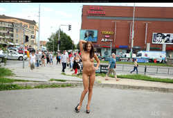 Image #70020 (titties): michaela isizzu, nude, tits