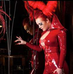 Image #56149 (fetish): latex