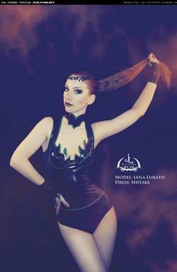 Image #93358 (fetish): latex
