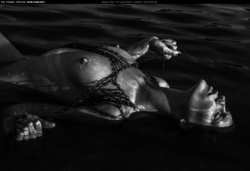 Image #124761 (titties): tits, wet