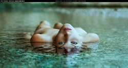 Image #80802 (titties): tits, wet