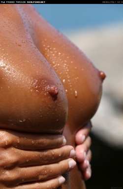 Image #120556 (titties): tits, wet
